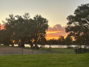 Pelicans on the Darling